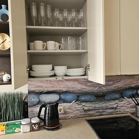 Apartment Avocado Old Town 2br Spacious Near Dome Square Riga